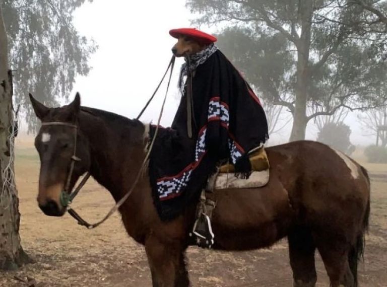 El invitado de lujo que tendrá la Fiesta del Caballo