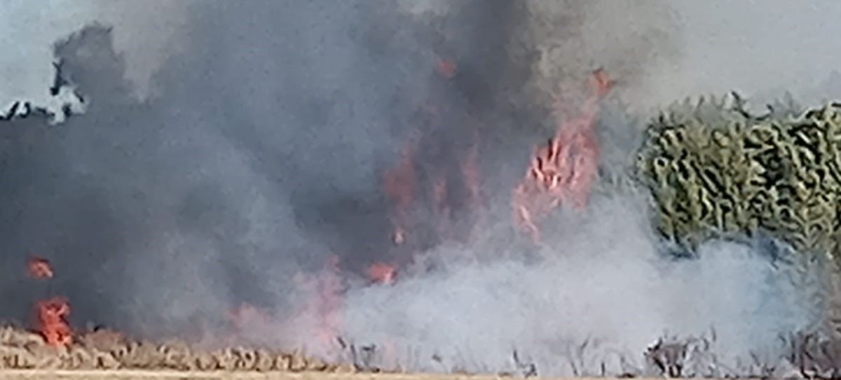 Incendio de pastos y cañas en el Barrio Agumín