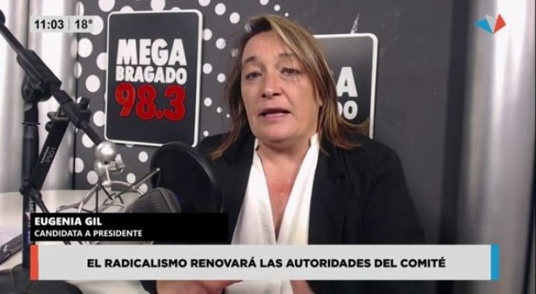 "El radicalismo debe ser un partido competitivo"