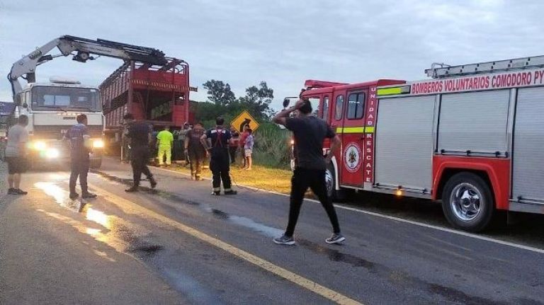 La tarea de Bomberos en el vuelco del camión jaula