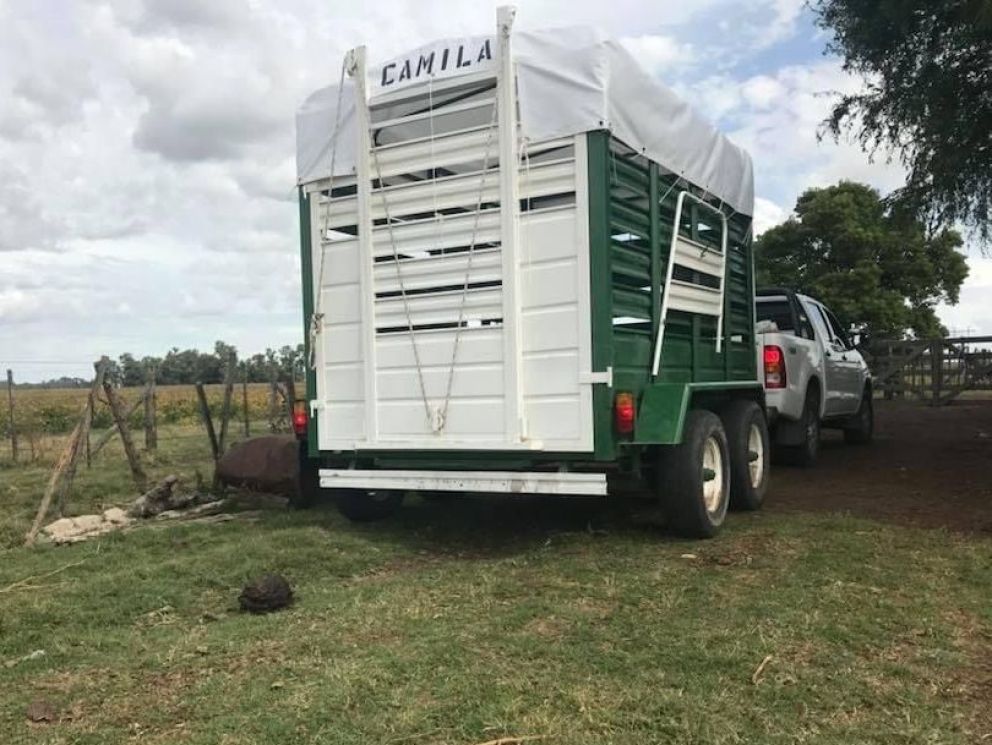 Robaron una jaula para transportar animales