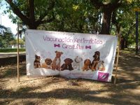 Culminó la campaña anual de vacunación antirrábica canina y felina