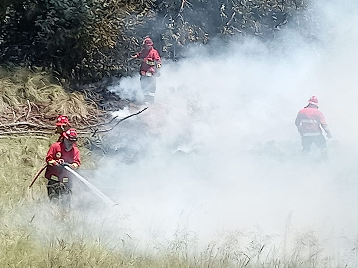Llamado a los Bomberos Voluntarios por un incendio de pastos en la Ruta 46