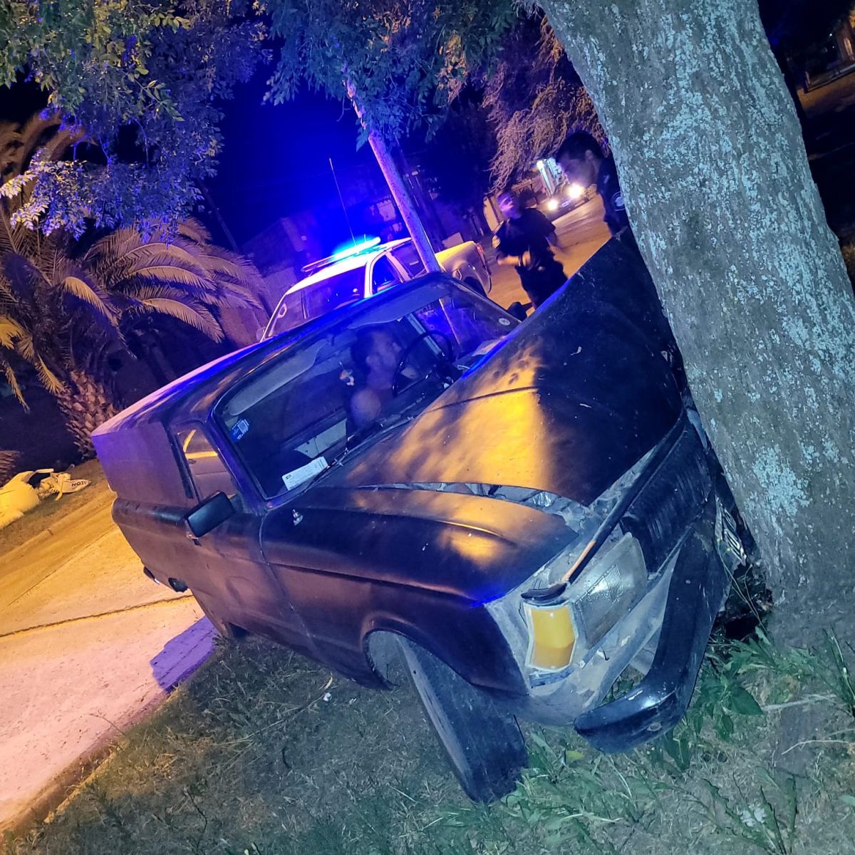 Venía alcoholizado, chocó contra una planta y lo demoraron