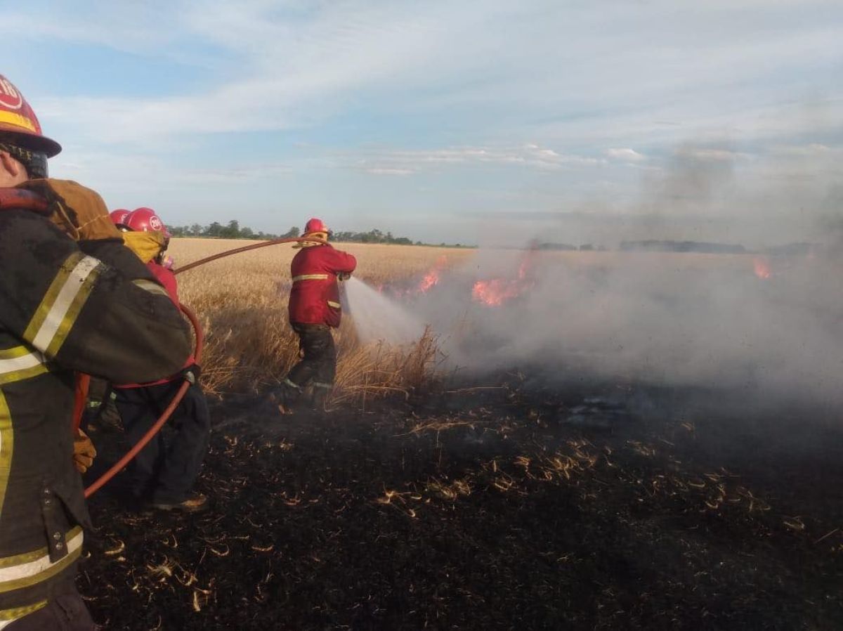 El intenso trabajo de Bomberos en los incendios forestales