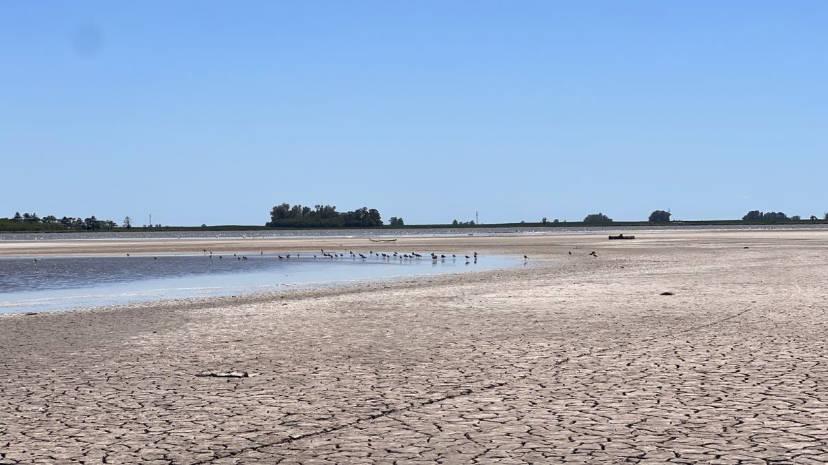 Sigue preocupando la situación de sequía en la laguna 