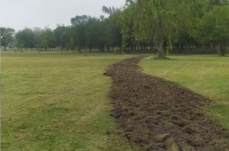 Preparan una pista de atletismo y buscan que lleve el nombre “Miguel Bárzola”