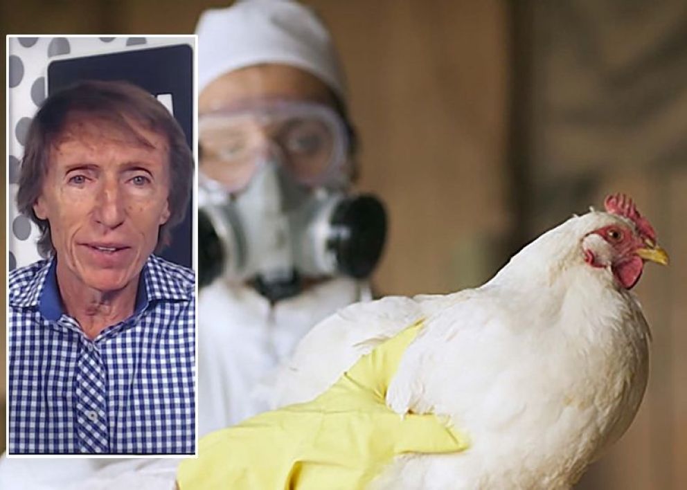 Preocupación por el avance de la influenza aviar
