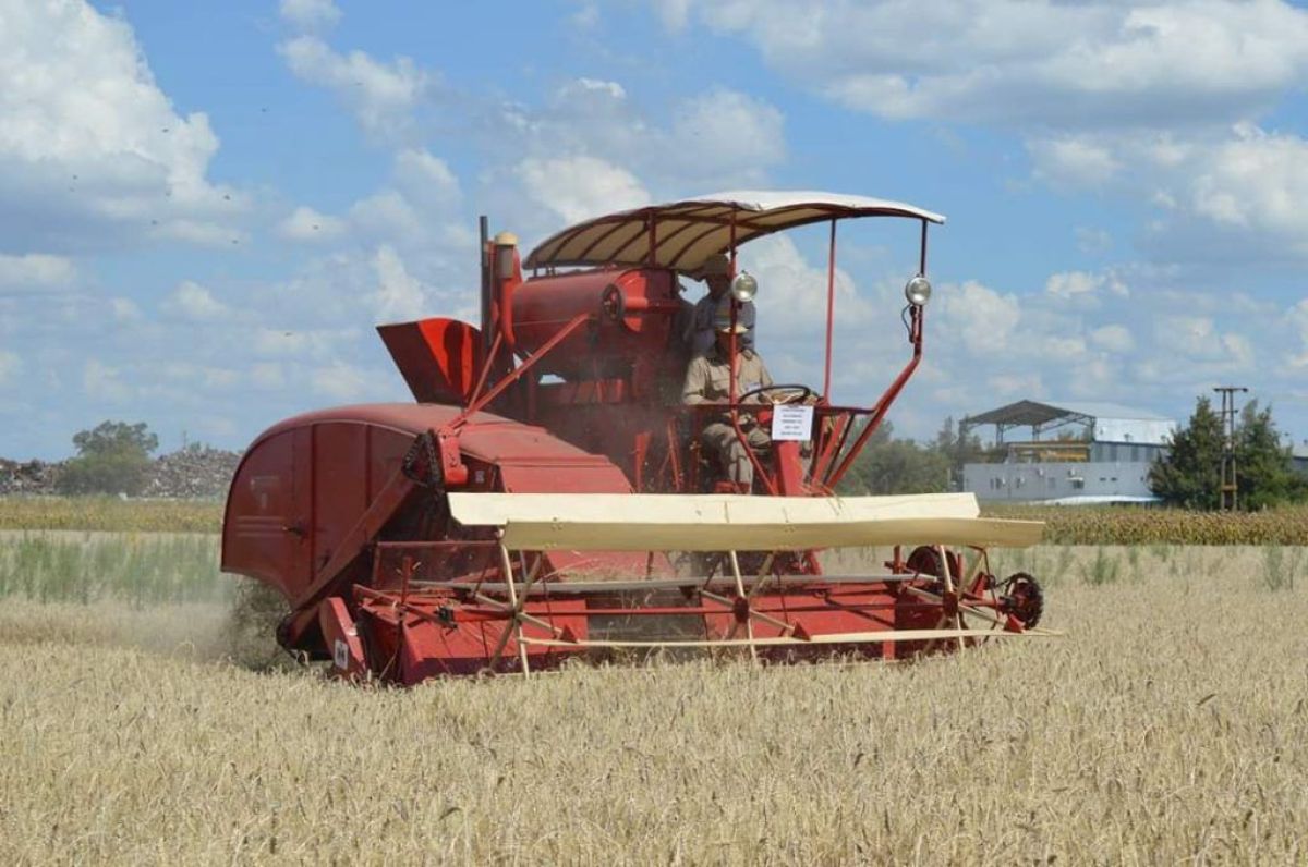 Ultiman detalles para la Fiesta de la Maquinaria Agrícola Antigua