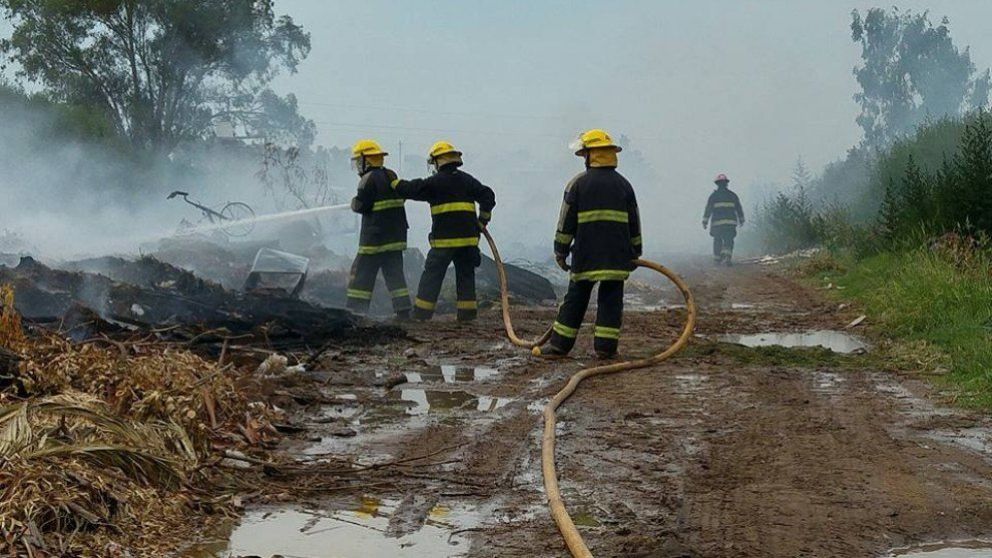 Ola de calor en Bragado: alerta por la propagación de incendios forestales