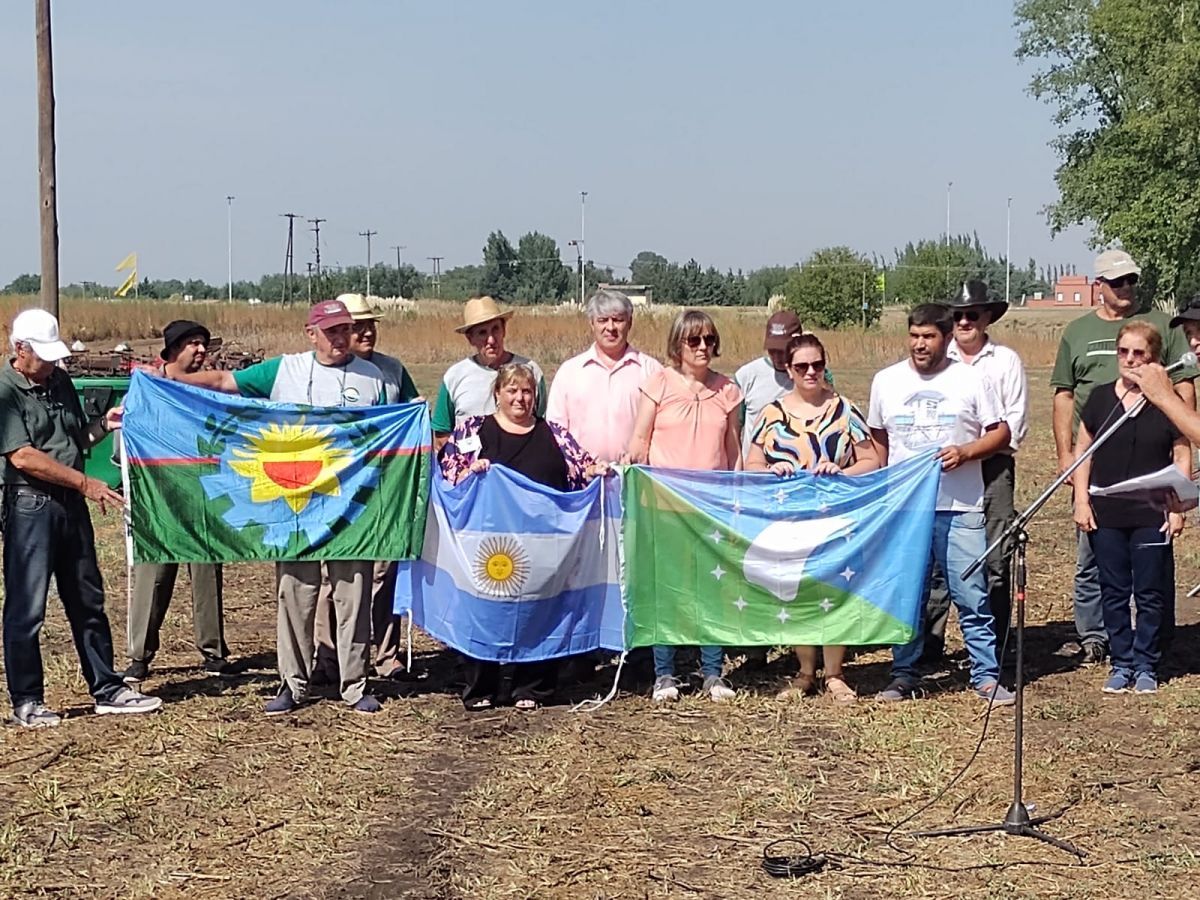 Comenzó la 7° edición de la Fiesta de la Maquinaria Agrícola Antigua