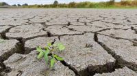 La Nación también declaró la emergencia en Bragado y otros municipios por la sequía