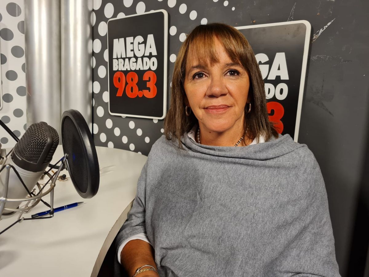 El trabajo del Consejo Escolar en las instituciones educativas: análisis de Betina Menéndez
