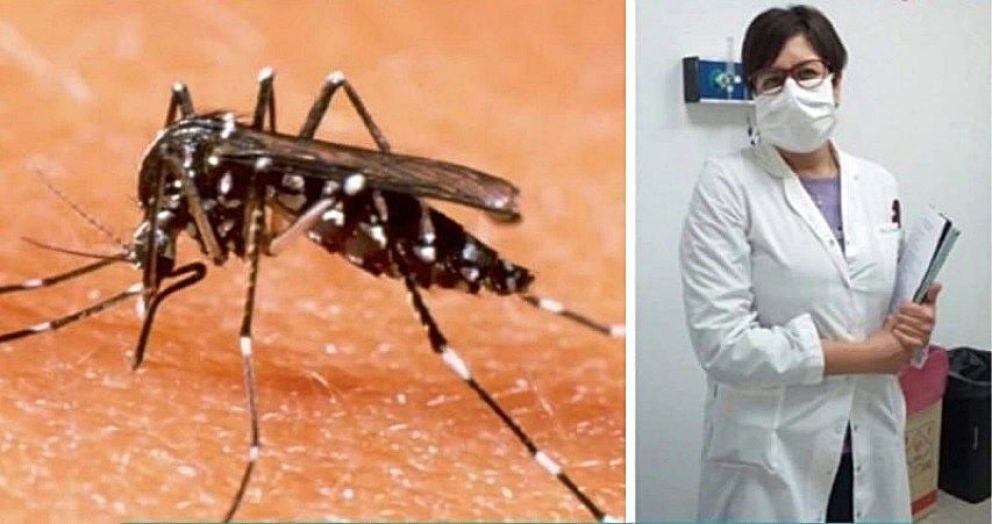 Una médica infectóloga explicó todo lo que hay que saber sobre el dengue 