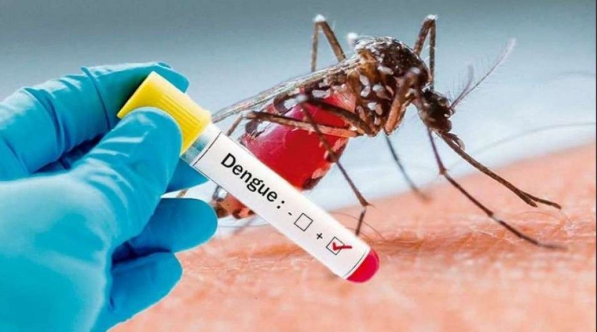 Se detectó un nuevo caso de dengue en Bragado