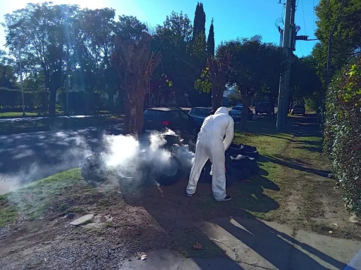 Continúan los trabajos de prevención para dengue