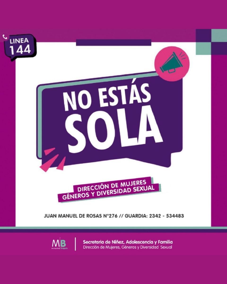 Alarmantes porcentajes estadísticos sobre los tipos de violencia contra la mujer en Bragado