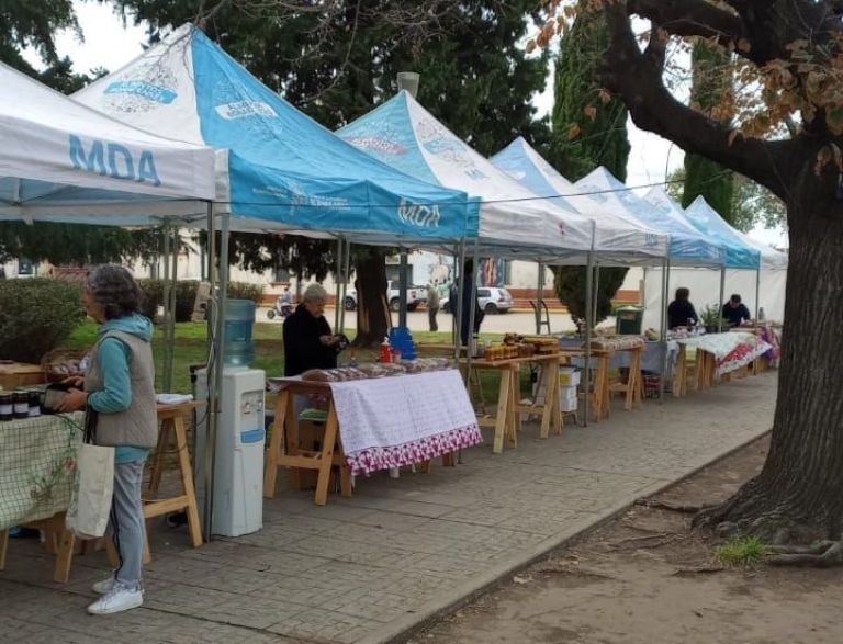 Intercambio de semillas en la Feria Franca