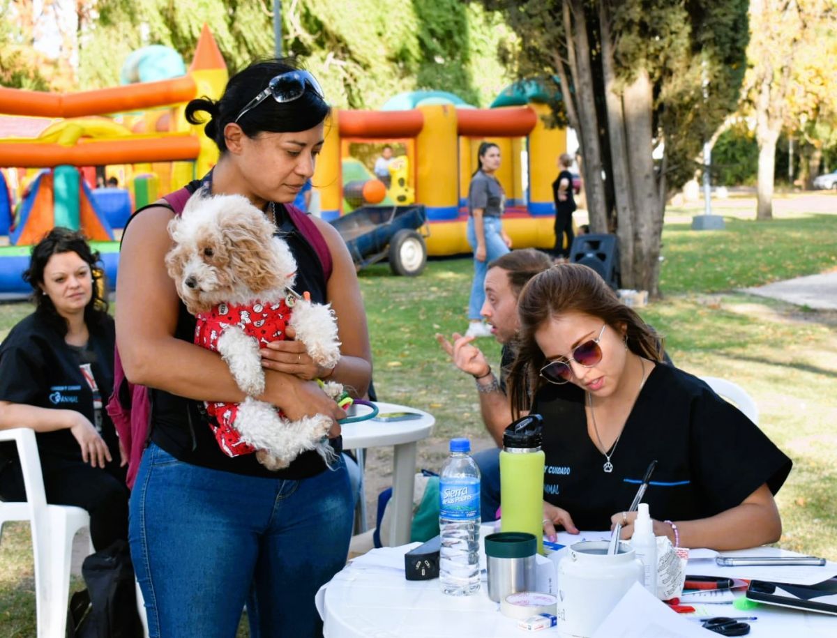 Exitosa primera jornada de desparasitación canina y felina en la ciudad