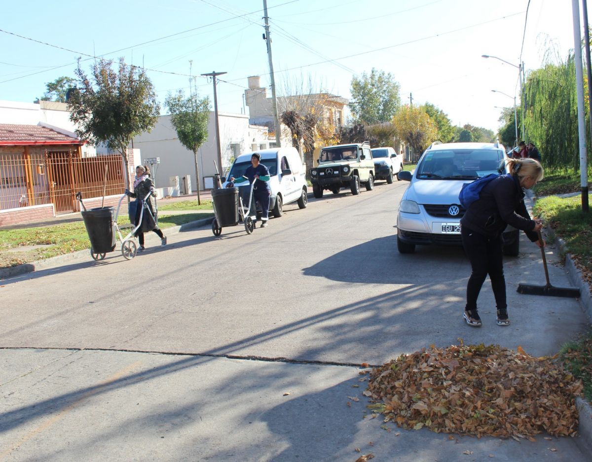 Otoño: Intensifican la limpieza en las calles por la caída de hojas 