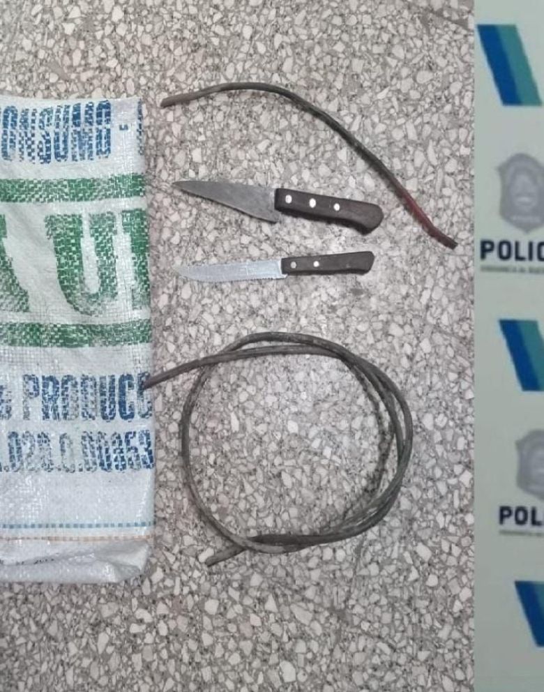 Tres jóvenes demorados por robo y daños
